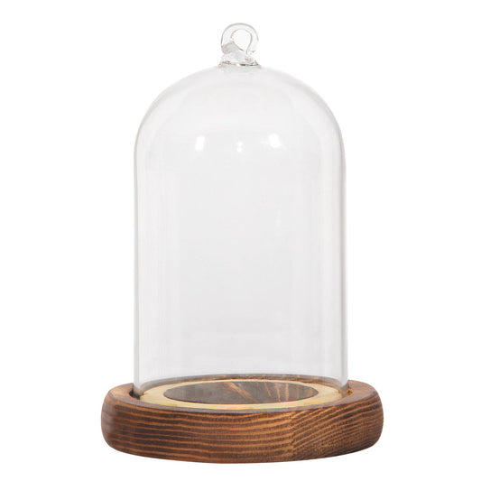 GLASS DOME W/WOOD BASE O̸CM9XH13,5