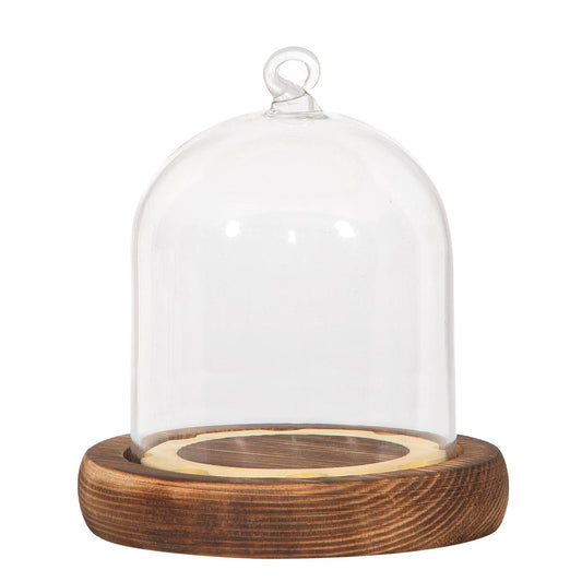 GLASS DOME W/WOOD BASE O̸CM9XH8,5