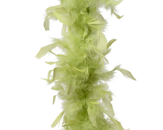 Boa feather
