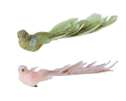 Bird foam on clip 2col ass