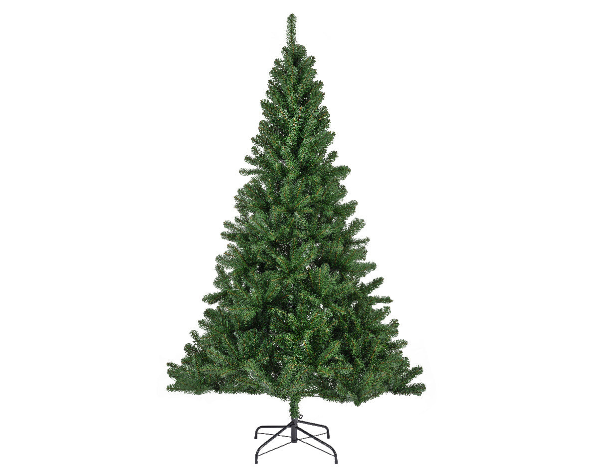 Monarch pine