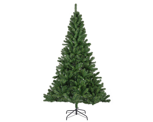 Monarch pine