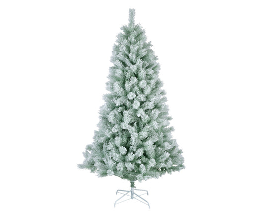Brighton spruce snowy
