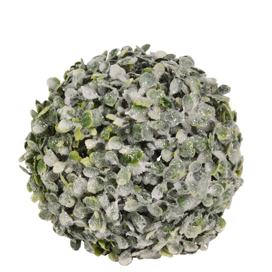 Boxwood ball pe frosted